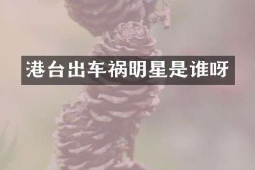 港台出车祸明星是谁呀