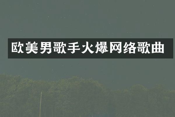 欧美男歌手火爆网络歌曲