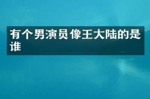 有个男演员像王大陆的是谁