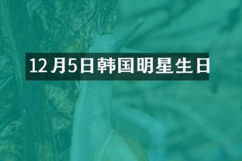 12月5日韩国明星生日