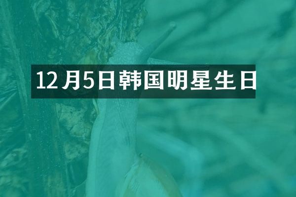 12月5日韩国明星生日