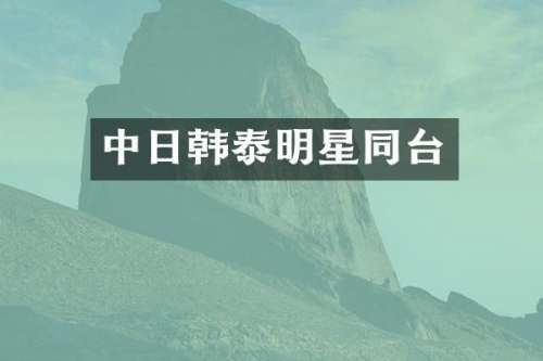 中日韩泰明星同台