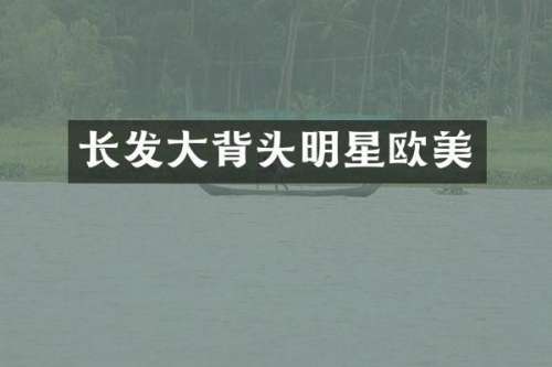 长发大背头明星欧美
