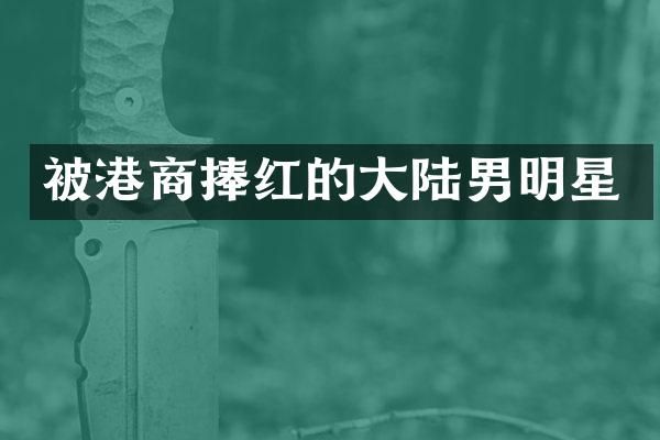 被港商捧红的大陆男明星