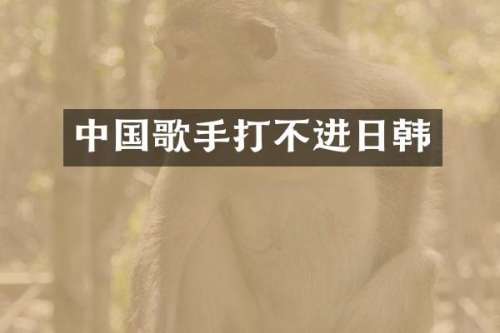 中国歌手打不进日韩