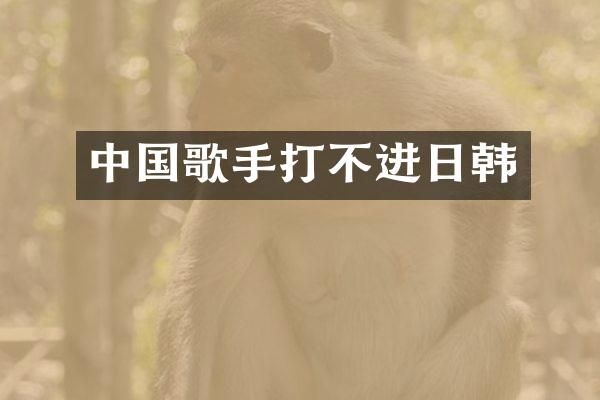 中国歌手打不进日韩