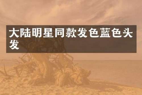 大陆明星同款发色蓝色头发