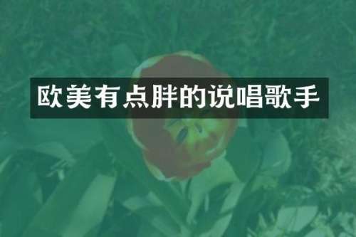 欧美有点胖的说唱歌手