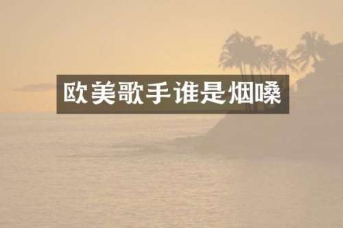 欧美歌手谁是烟嗓