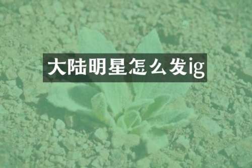 大陆明星怎么发ig