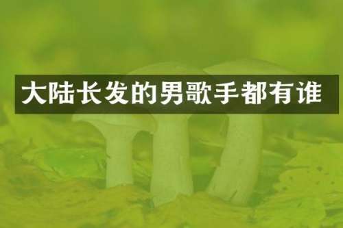 大陆长发的男歌手都有谁