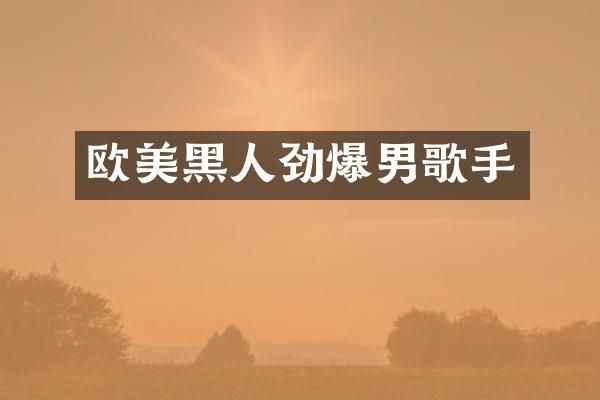 欧美黑人劲爆男歌手