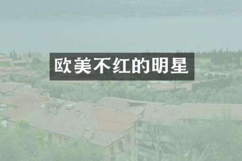 欧美不红的明星