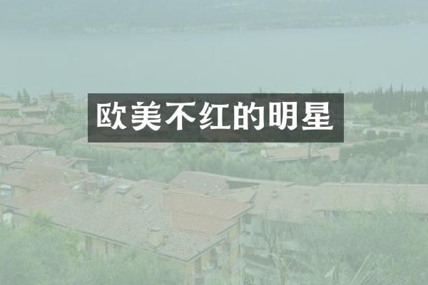 欧美不红的明星