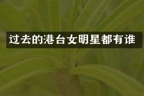 过去的港台女明星都有谁