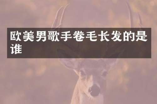欧美男歌手卷毛长发的是谁