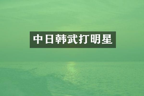 中日韩武打明星