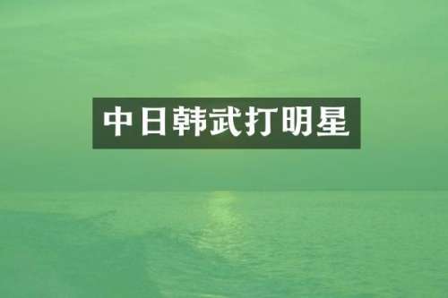 中日韩武打明星