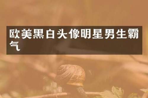 欧美黑白头像明星男生霸气