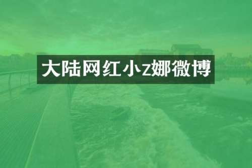 大陆网红小z娜微博