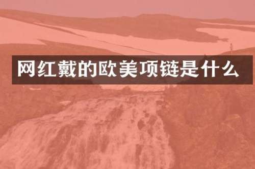 网红戴的欧美项链是什么