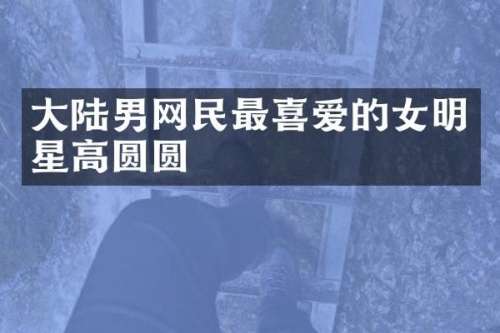 大陆男网民最喜爱的女明星高圆圆