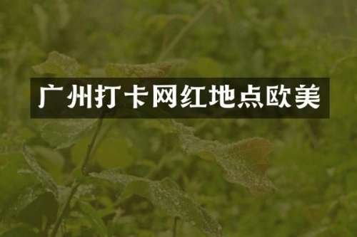 广州打卡网红地点欧美