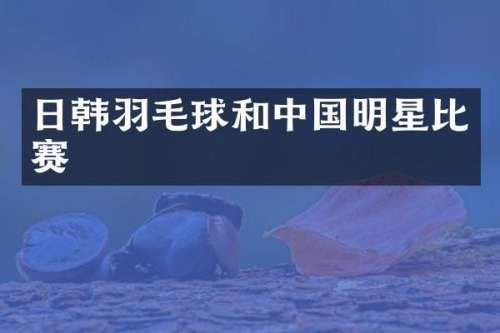日韩羽毛球和中国明星比赛