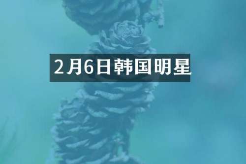 2月6日韩国明星