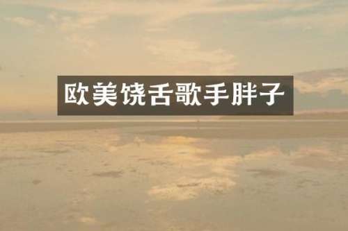 欧美饶舌歌手胖子