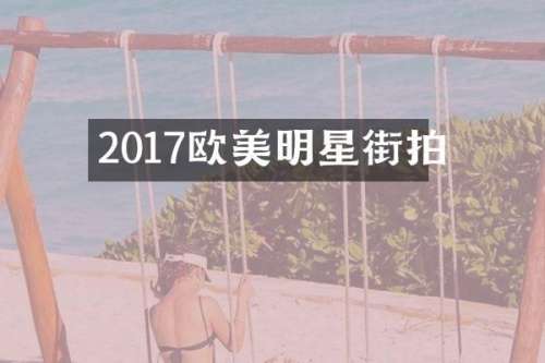 2017欧美明星街拍