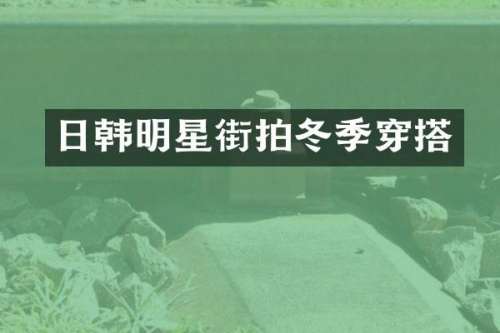 日韩明星街拍冬季穿搭