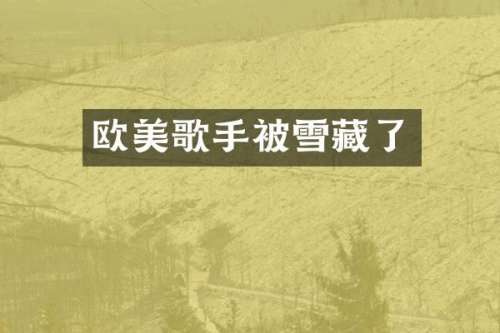 欧美歌手被雪藏了
