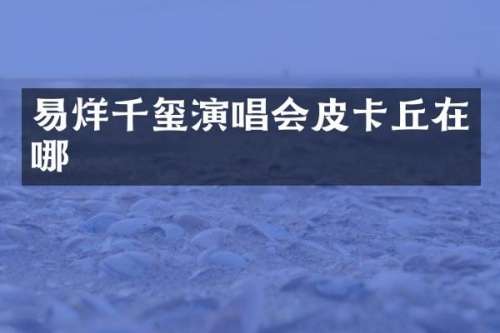 易烊千玺演唱会皮卡丘在哪
