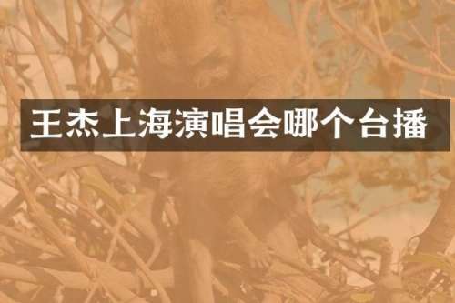 王杰上海演唱会哪个台播