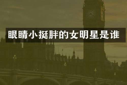 眼睛小挺胖的女明星是谁