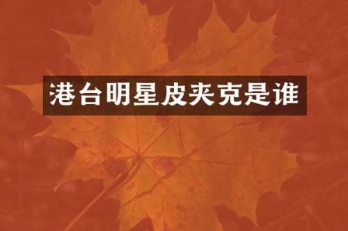 港台明星皮夹克是谁