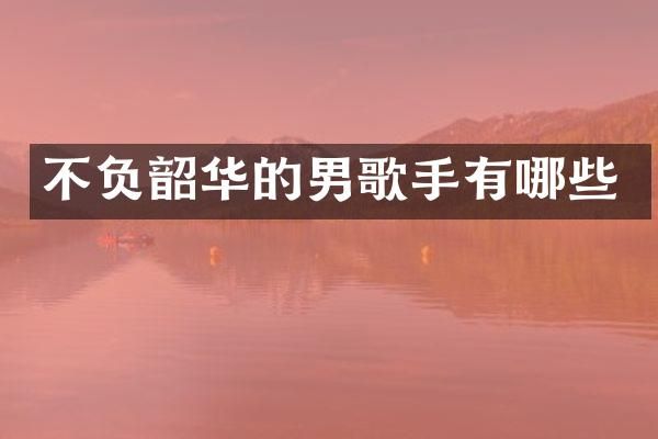 不负韶华的男歌手有哪些