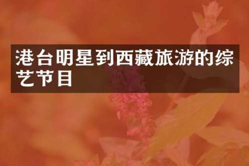 港台明星到西藏旅游的综艺节目