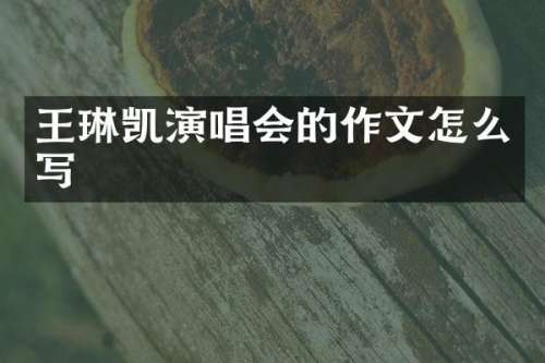王琳凯演唱会的作文怎么写