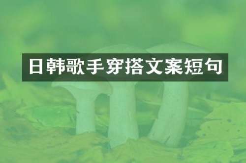 日韩歌手穿搭文案短句