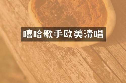 嘻哈歌手欧美清唱