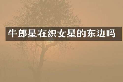 牛郎星在织女星的东边吗