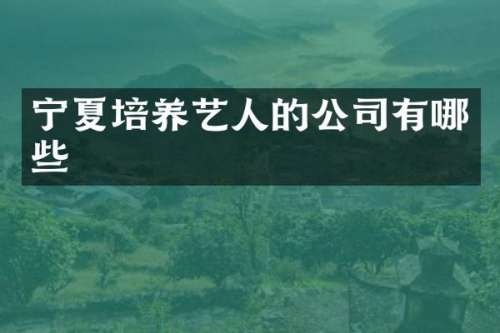 宁夏培养艺人的公司有哪些