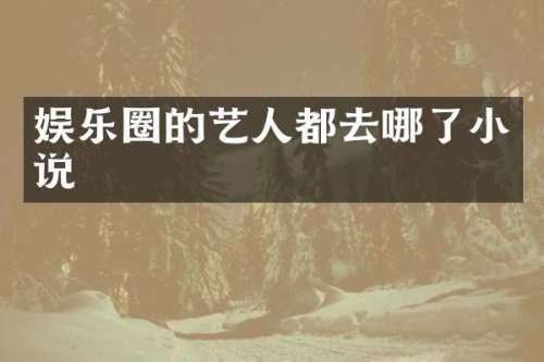 娱乐圈的艺人都去哪了小说