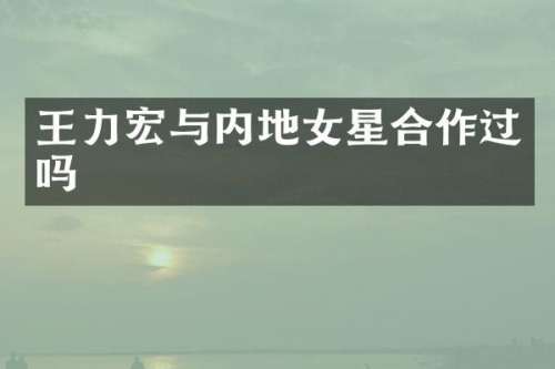 王力宏与内地女星合作过吗