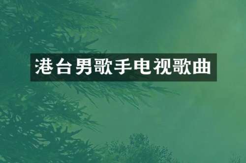 港台男歌手电视歌曲