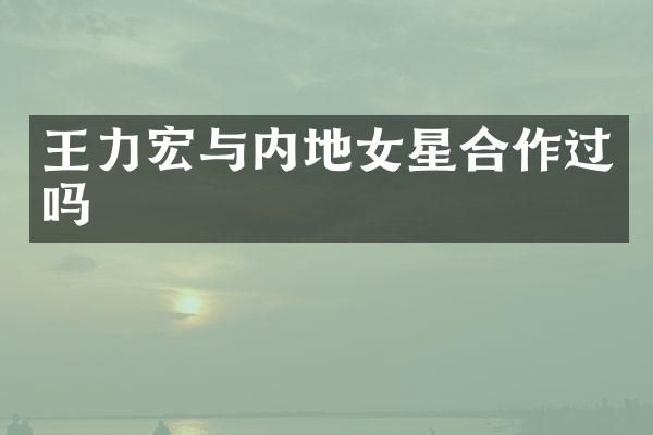 王力宏与内地女星合作过吗