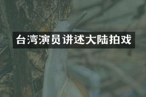 台湾演员讲述大陆拍戏