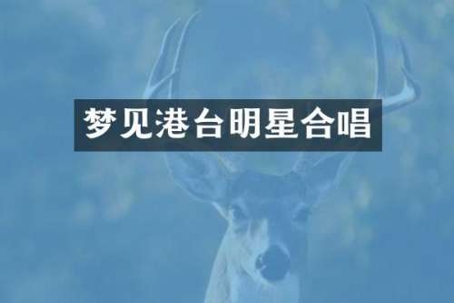 梦见港台明星合唱